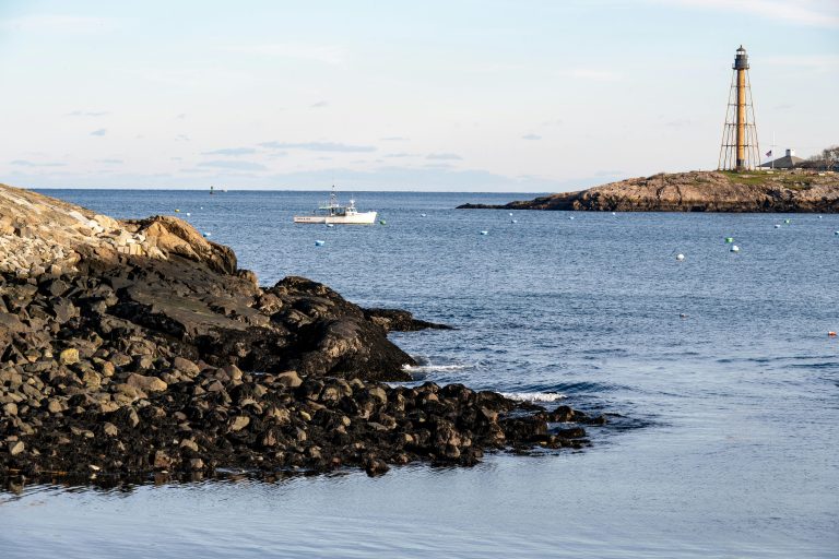 How to Choose Your First Travel Trailer: Beginner Guide