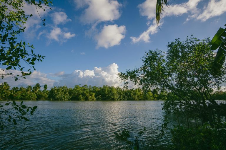 Travel Trailer Insulation for Winter: Complete Guide