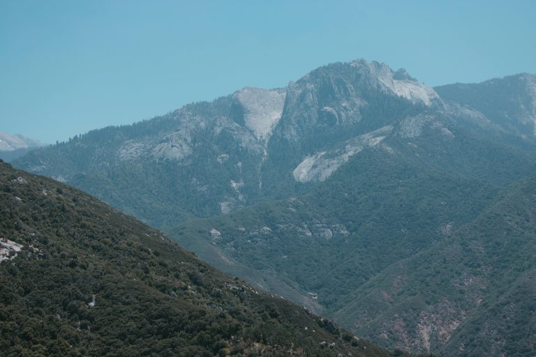 Ultimate Off Road Trailer Camper Guide for All Terrains