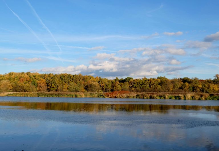 Mars RV Off-Road Caravans: Best 4×4 Camper Guide