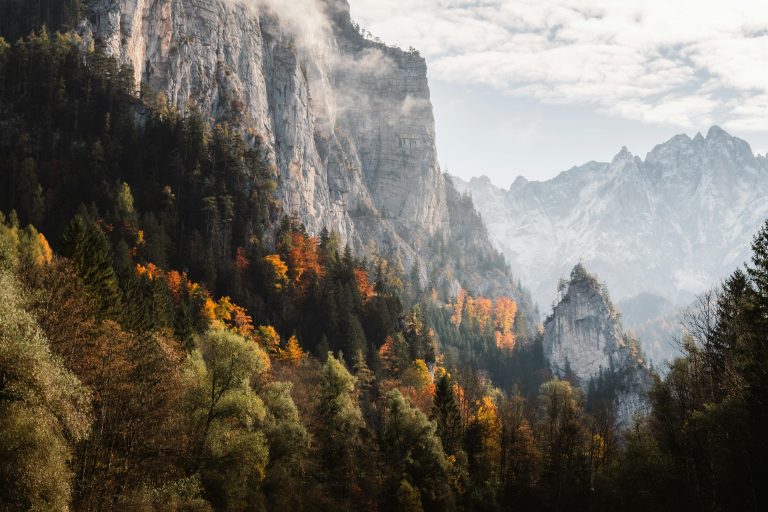 Types of Trailers for Camping: Travel, Pop-up & Teardrop