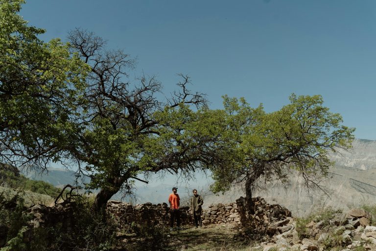 Work and Play Camper Setup Guide for Travel & Work