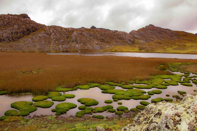 Best Travel Trailers: Features, Tips & Buyer Guide