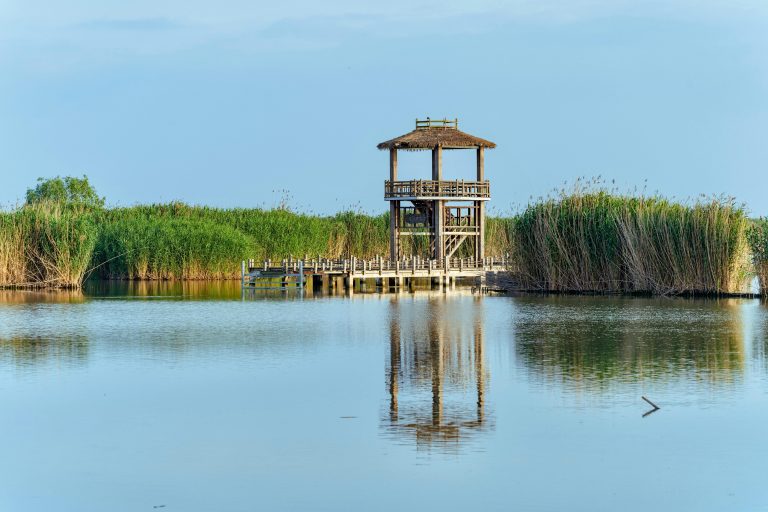 RV Awning Maintenance: Cleaning, Care & Longevity Tips