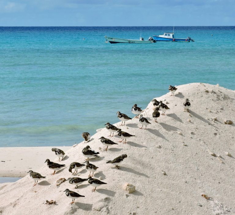 Winterizing Travel Trailers: Complete 2025 Guide