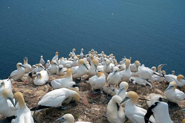 California Off Road Trailer Trails: Guide & Safety Tips