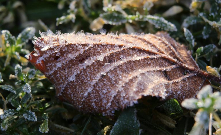 PNW Overland Routes: Ultimate Guide for Off-Road Travel