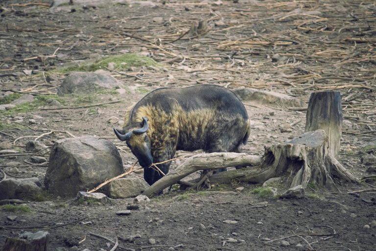 Mars Camper: U.S. Towable RV for Off-Grid Travel