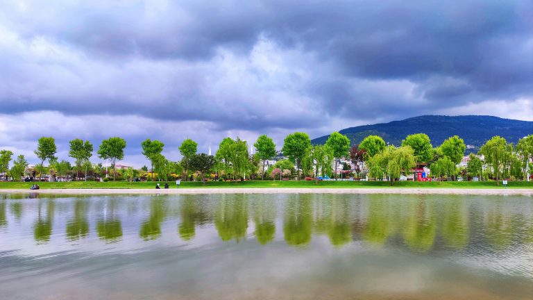 How to Power an Off Grid RV With Solar for True Freedom