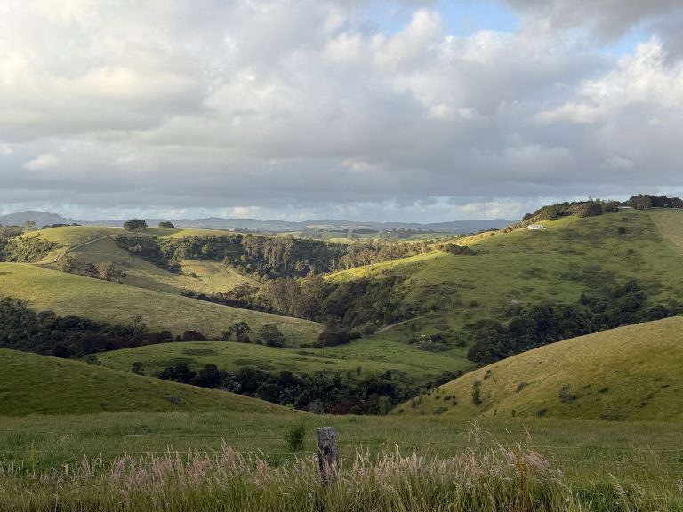 Florida Off Grid Camping: Tips, Spots & Safety Guide