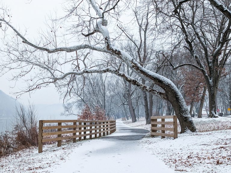 Off Road Hybrid Campers: A Complete Overlanding Guide