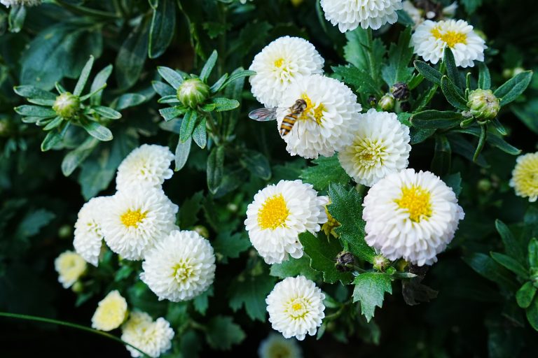 Best Travel Trailer Hitch Guide for Safe Towing 2025