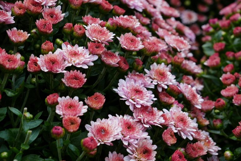 How to Winterize a Camper: Complete RV Winter Prep Guide