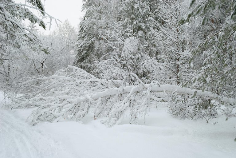 Hybrid Travel Trailers: Benefits, Setup & Space Guide