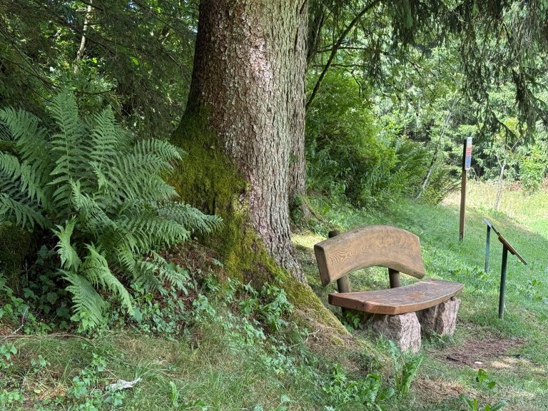 RV Water Filter System Guide: Install, Maintain & Troubleshoot