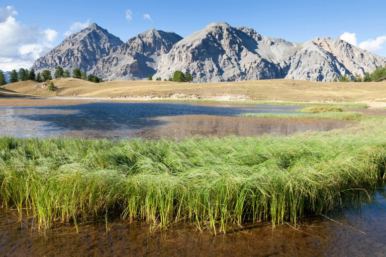 Camping Trailer Guide: Setup, Off-Grid & Maintenance Tips