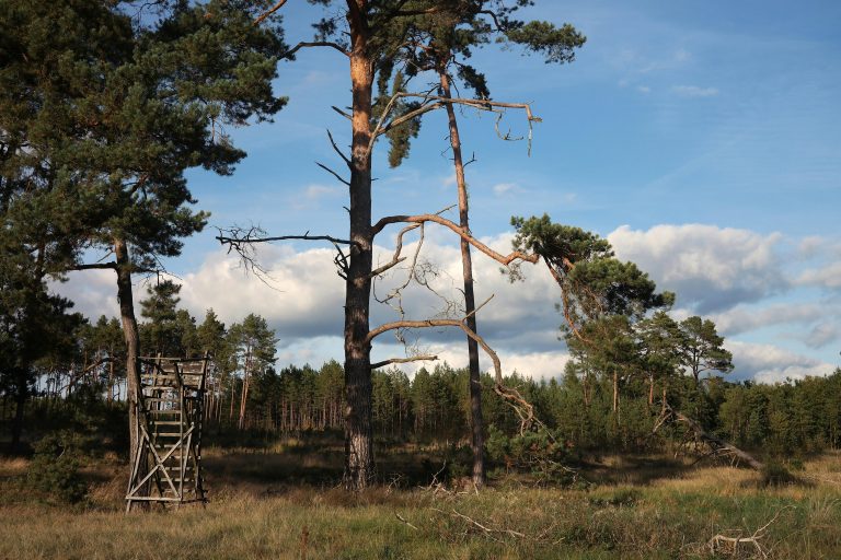 Florida Off Grid Camping Tips & Top Spots Guide