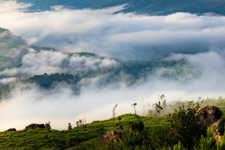 Lightweight Off‑Road Camper: Ultimate Overlanding Guide