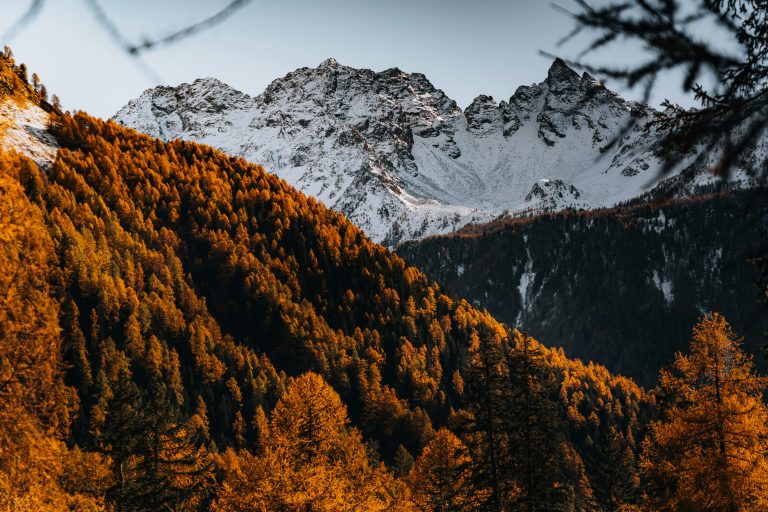 Global Off Road Trailer Guide & Market Trends 2025