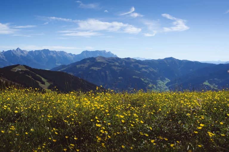 4×4 Tow Trailer for Camping: Off-Road Setup & Guide