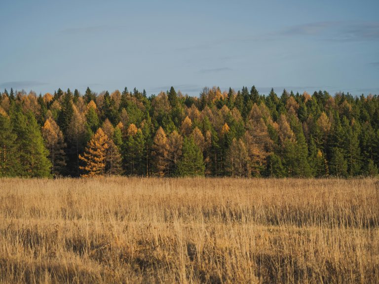 Complete Pop Up Camper Guide: Setup, Use & Maintenance