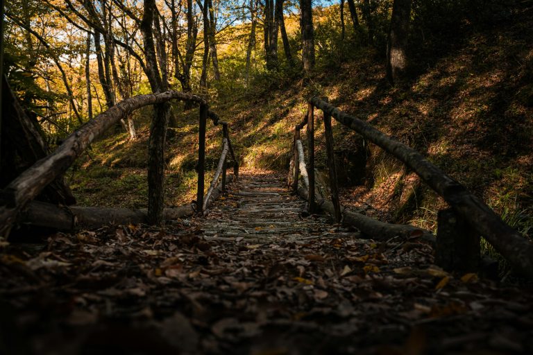 How to Choose Your First Travel Trailer: Beginner Tips