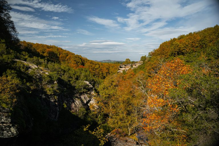 Travel Trailer Solar Guide for Off-Grid Power