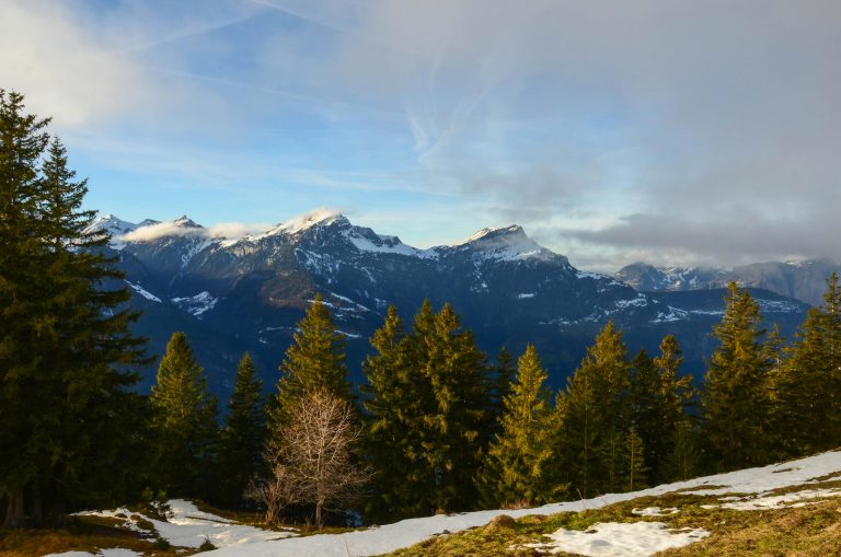 What Are Glamping Trailers? Features, Tips & Trends