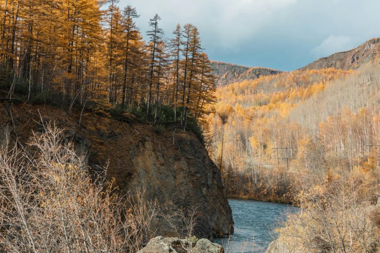 Durable Off Road Camper Guide for Extreme Terrain Trips