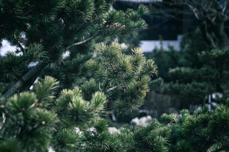 Top Rated Travel Trailers: 2026 Expert Guide