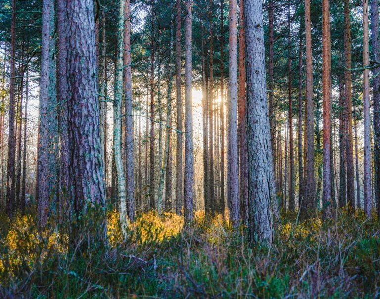 Travel Trailer with Washing Machine: Setup, Benefits & Tips