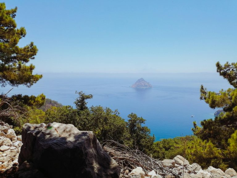 Sanitize RV Water Tank: Step-by-Step Guide & Tips