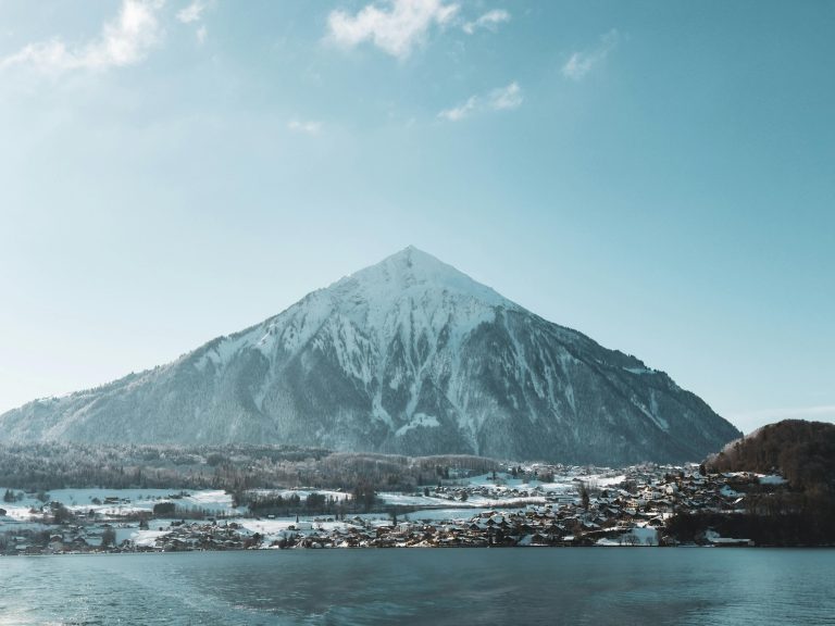 Pet Friendly RV Travel Guide for Safe & Happy Trips