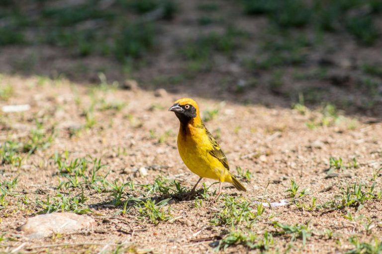 RV With Separate Shower and Toilet: Ultimate Comfort Tips