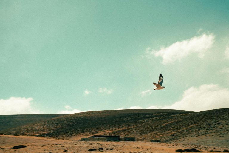 RV Voice Control: Alexa & Google Home Setup Guide