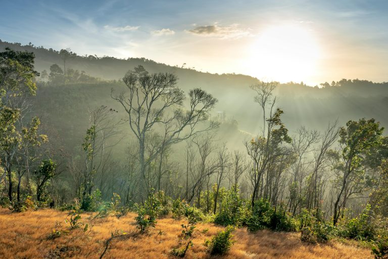 Mobile Habitat: Sustainable Off‑Grid Living Solutions