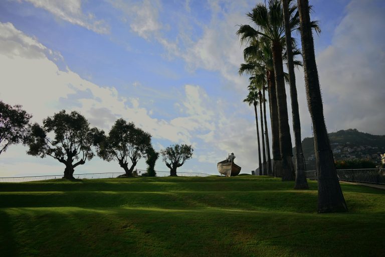 RV Cooking Tips: Easy Recipes & Kitchen Hacks