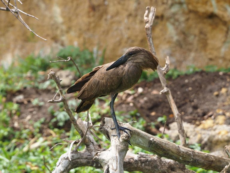 Polyblock Hitch Maintenance: Safety & Inspection Guide