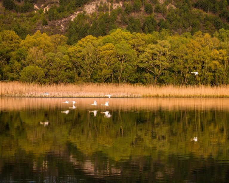 Towing on Steep Grades Downhill: Safety & Tips