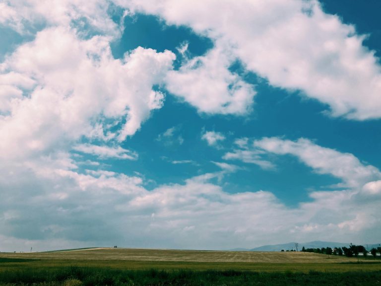 Kinetic Recovery Rope for Towing: Ultimate 2026 Guide