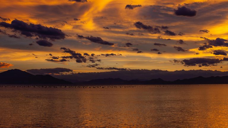 RV Awning Maintenance: Complete Guide for Longevity