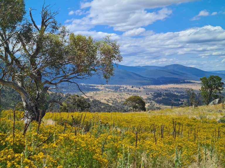 RV Sun Protection Tips to Keep Your RV Cool