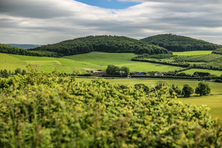 Check Trailer Wheel Bearings: Step-by-Step Safety Guide