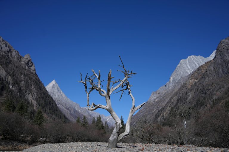 How to Prevent Trailer Theft in Driveways: Mars 2026 Guide