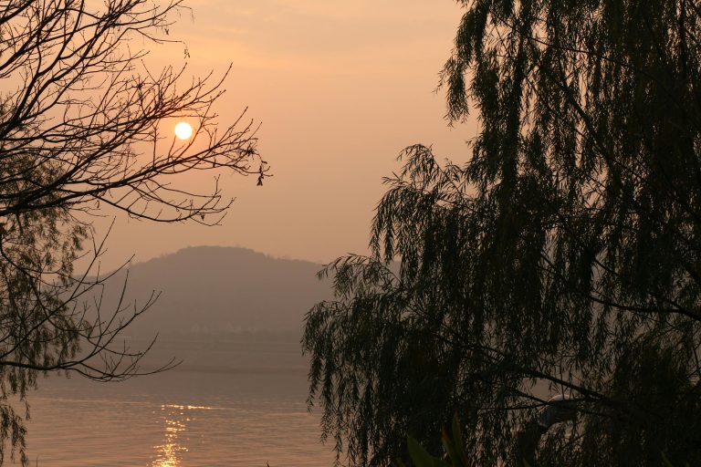 Weight Distribution Hitch Guide for Safe Towing