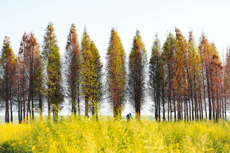 RV Tank Sensor False Reading Fix Guide