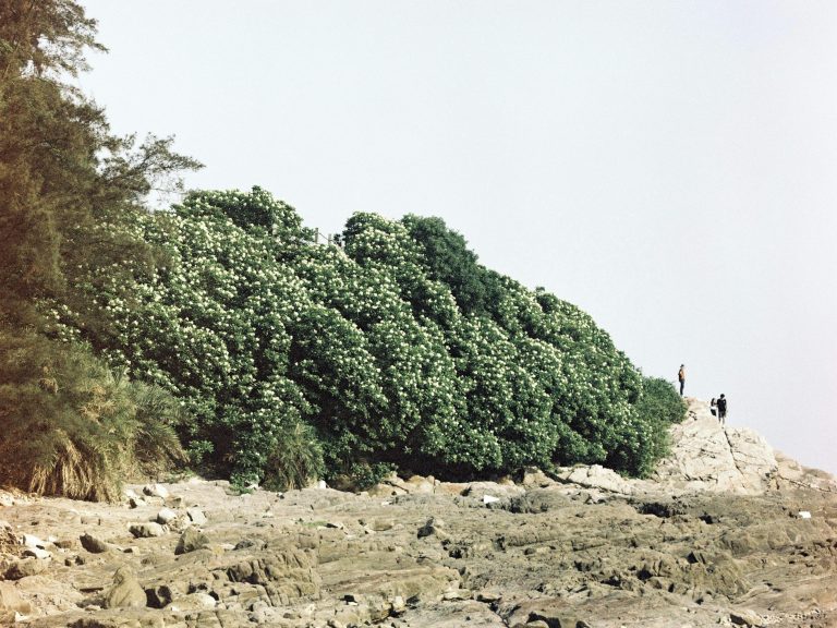 Class B RV Guide: Features, Benefits & Tips