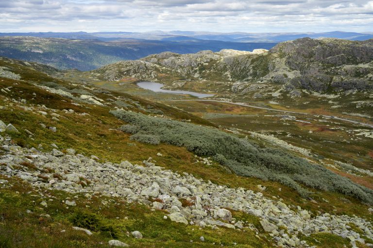 Outback Camper Guide: Features & Off-Grid Tips