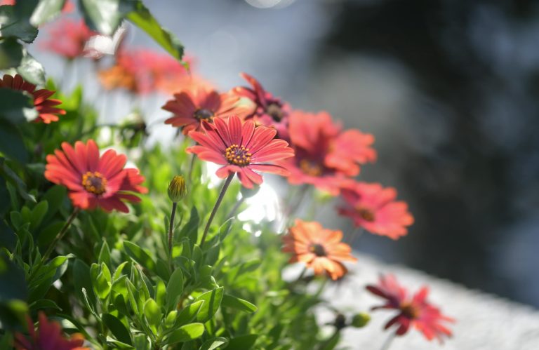 Twisted Trails Off Road Guide for Beginners