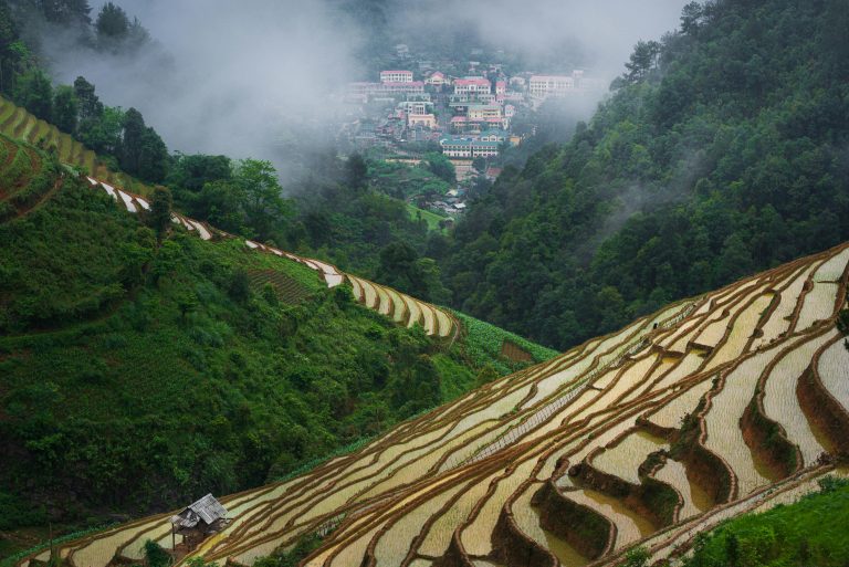 Teardrop Trailers: Best Lightweight Camping Guide